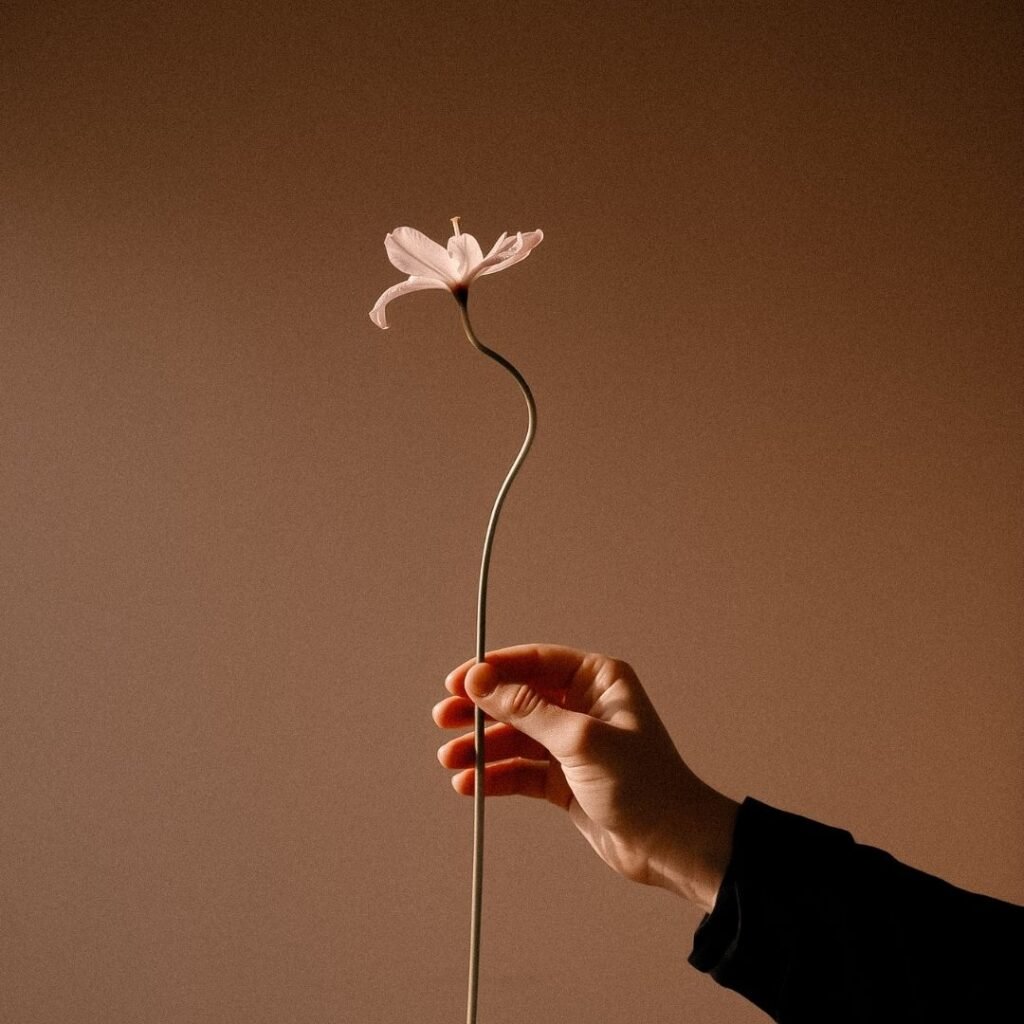 A hand holding a single delicate flower against a warm brown background, suggesting both fragility and resilience