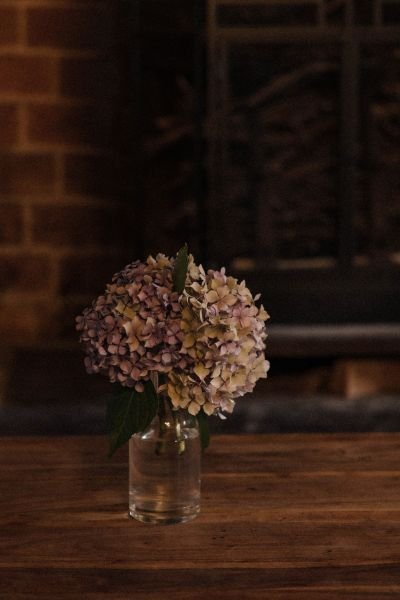 Dried flowers in a vase, calm therapy room setting