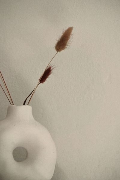 Dried pampas grass in a minimal white vase against a neutral background, representing calm and simplicity