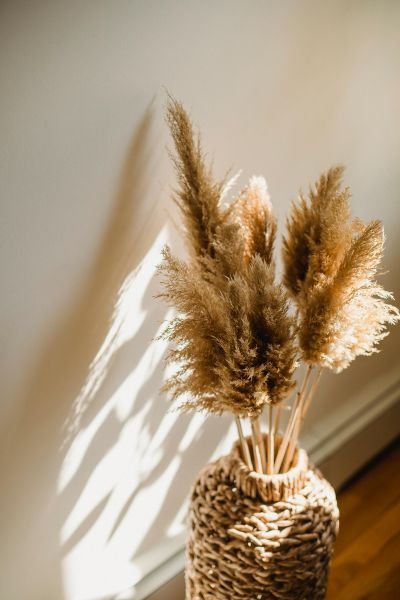 Dried pampas grass stems in a woven rattan vase with warm sunlight casting soft shadows on the wall, representing the calm and grounded atmosphere of integrative therapy at Your Mind Works